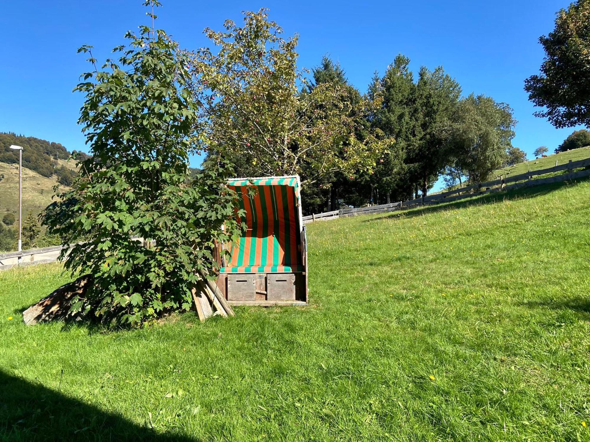 오베리드 Schwarzwaldhaus Sonnenstrasse, Oberried-Hofsgrund, Dreisamtal 빌라 외부 사진
