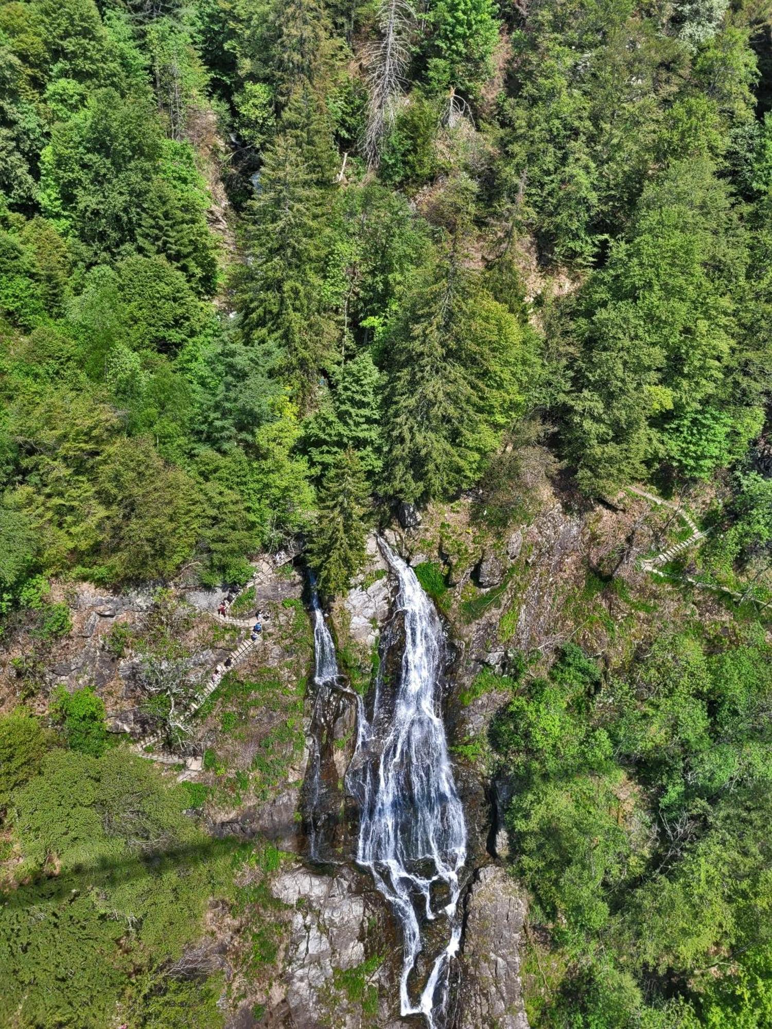 오베리드 Schwarzwaldhaus Sonnenstrasse, Oberried-Hofsgrund, Dreisamtal 빌라 외부 사진
